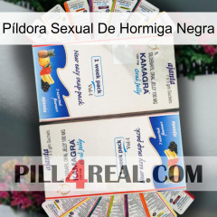 Píldora Sexual De Hormiga Negra kamagra1